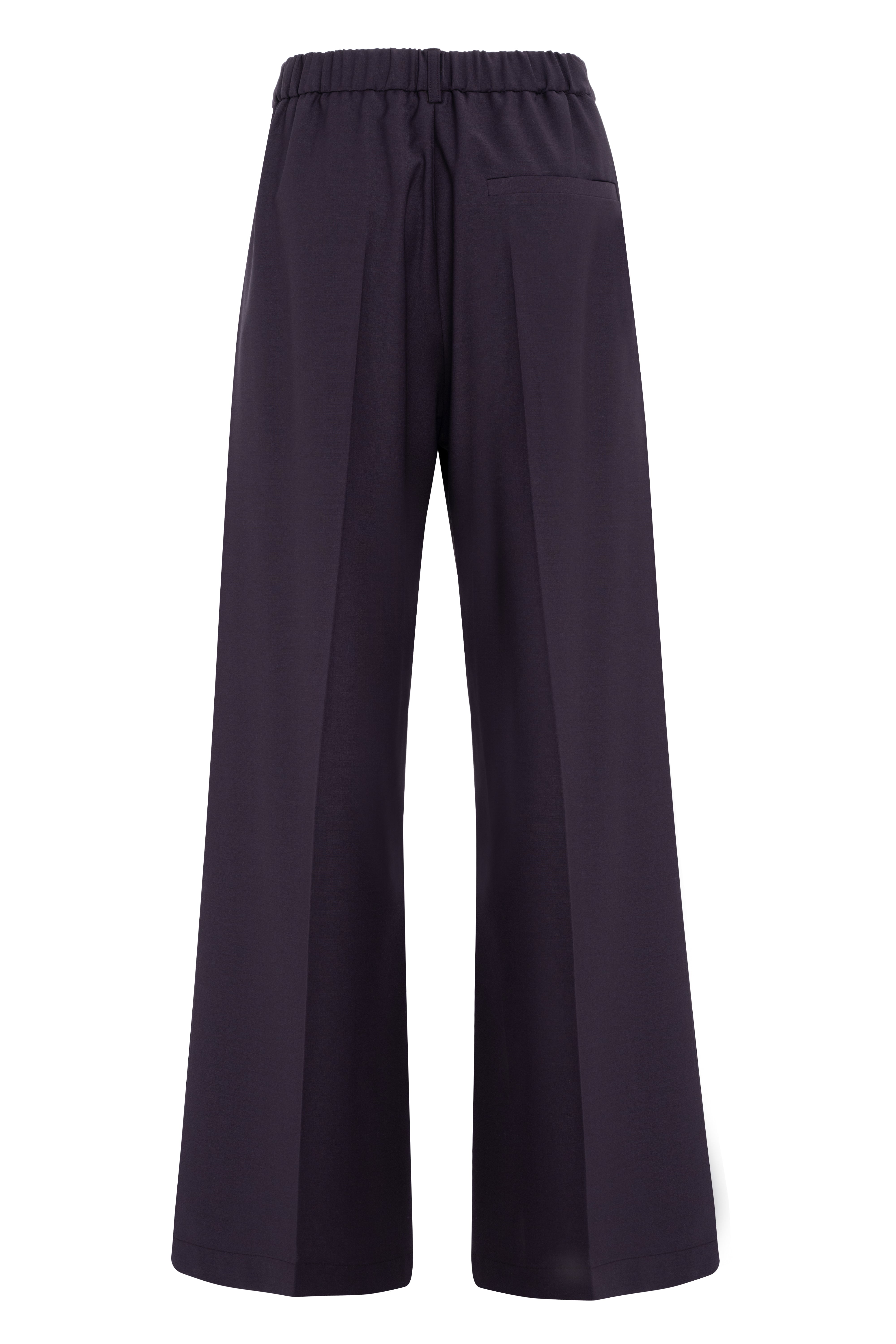 Dark Purple Straight-Leg Trousers With Pleats In Technical Wool
