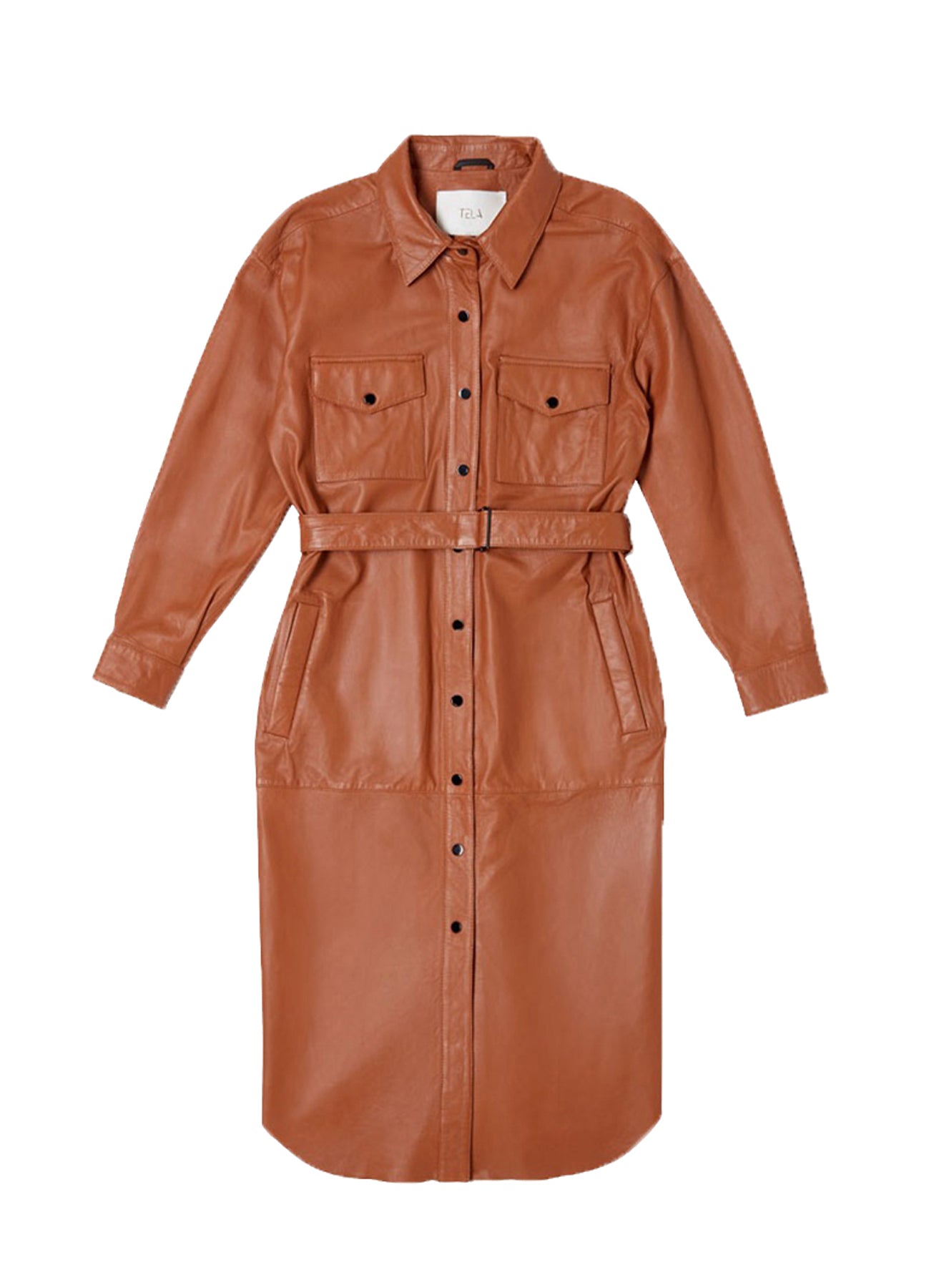 Leather Buttoned Long Dress