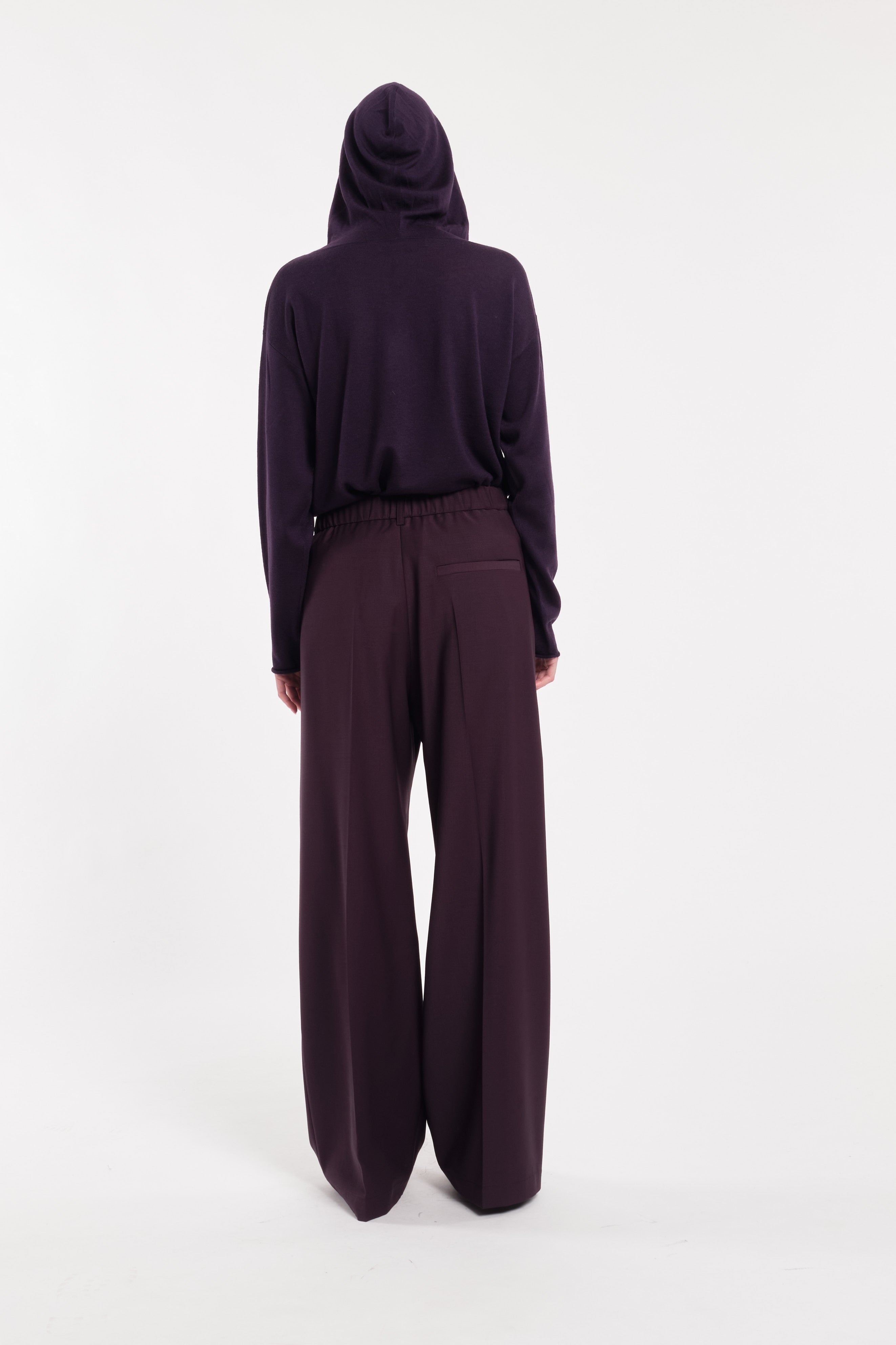 Dark Purple Straight-Leg Trousers With Pleats In Technical Wool